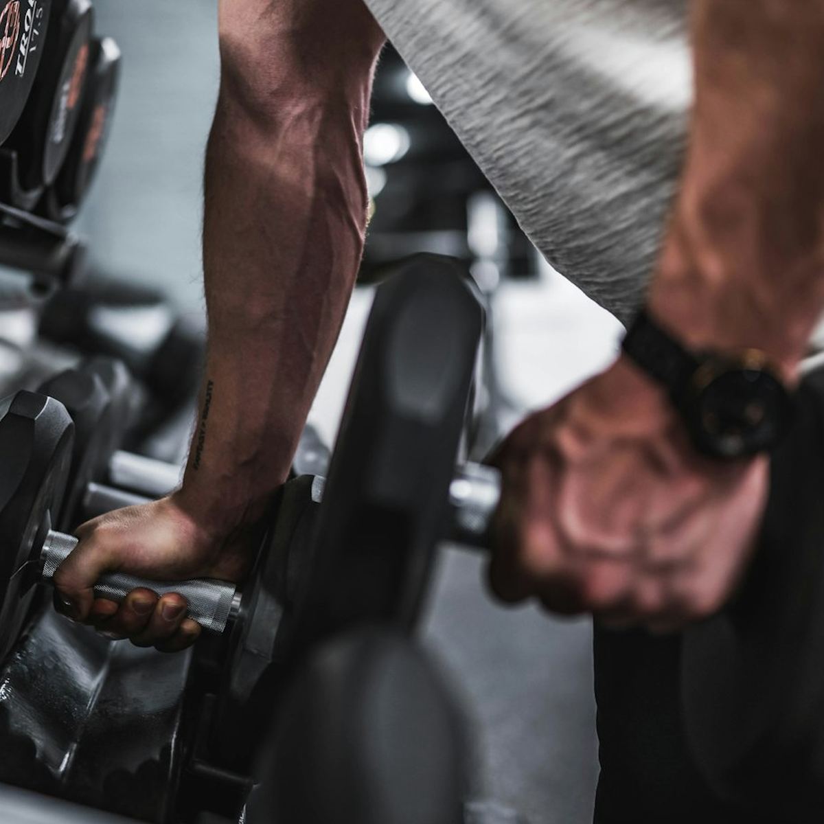 Botanistbays Fit Studio